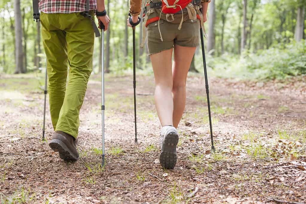 Day Hiking with Poles