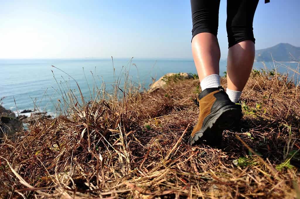 Hiking Boots