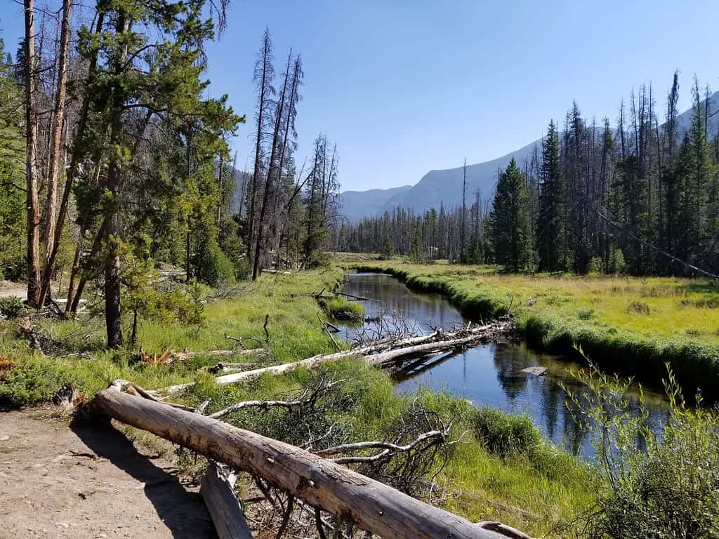 Rocky Mountain National Park