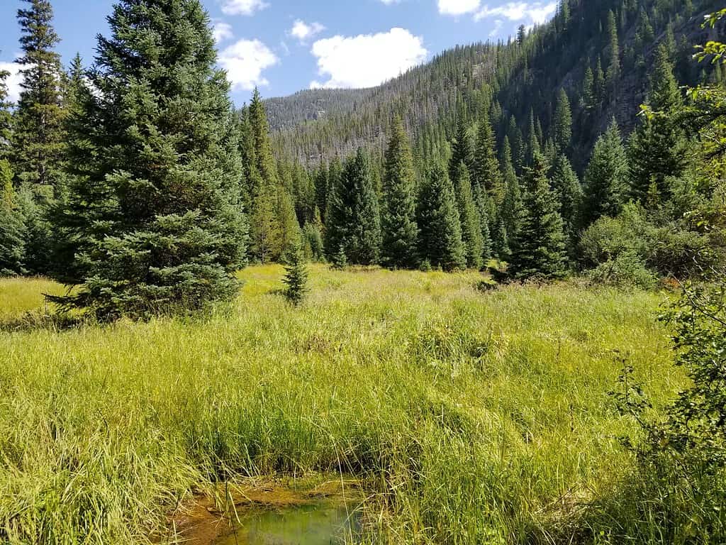 Rocky Mountain National Park