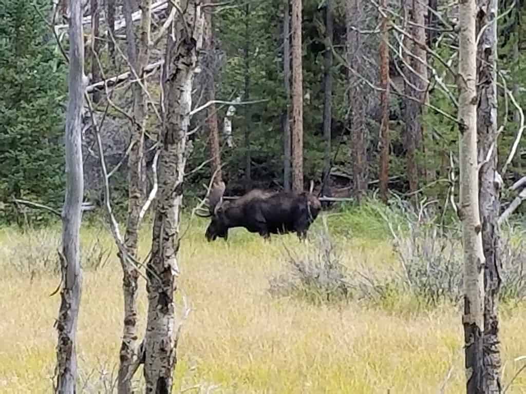 Rocky Mountain National Park