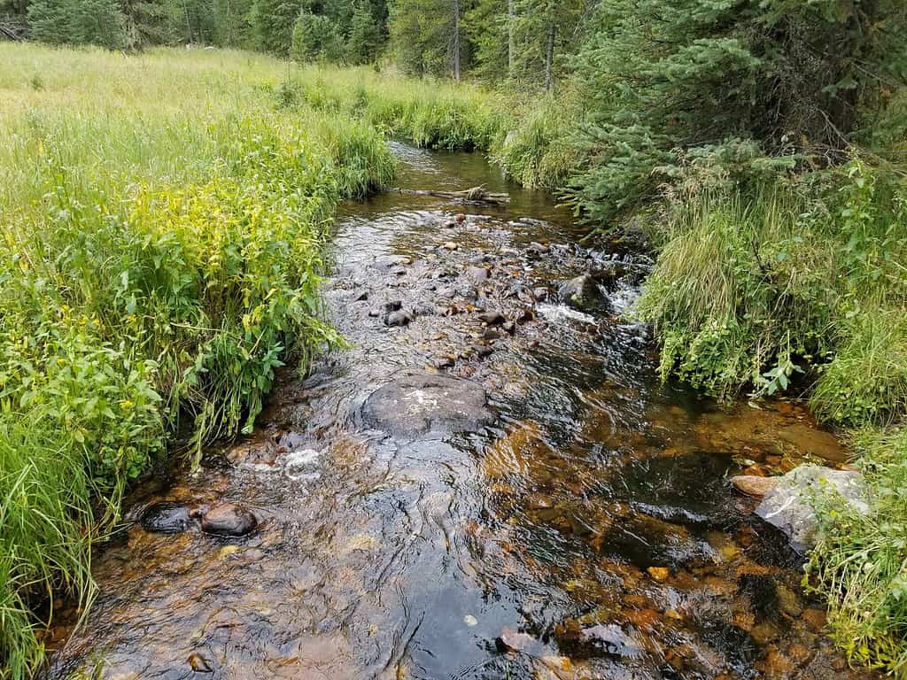 Rocky Mountain National Park