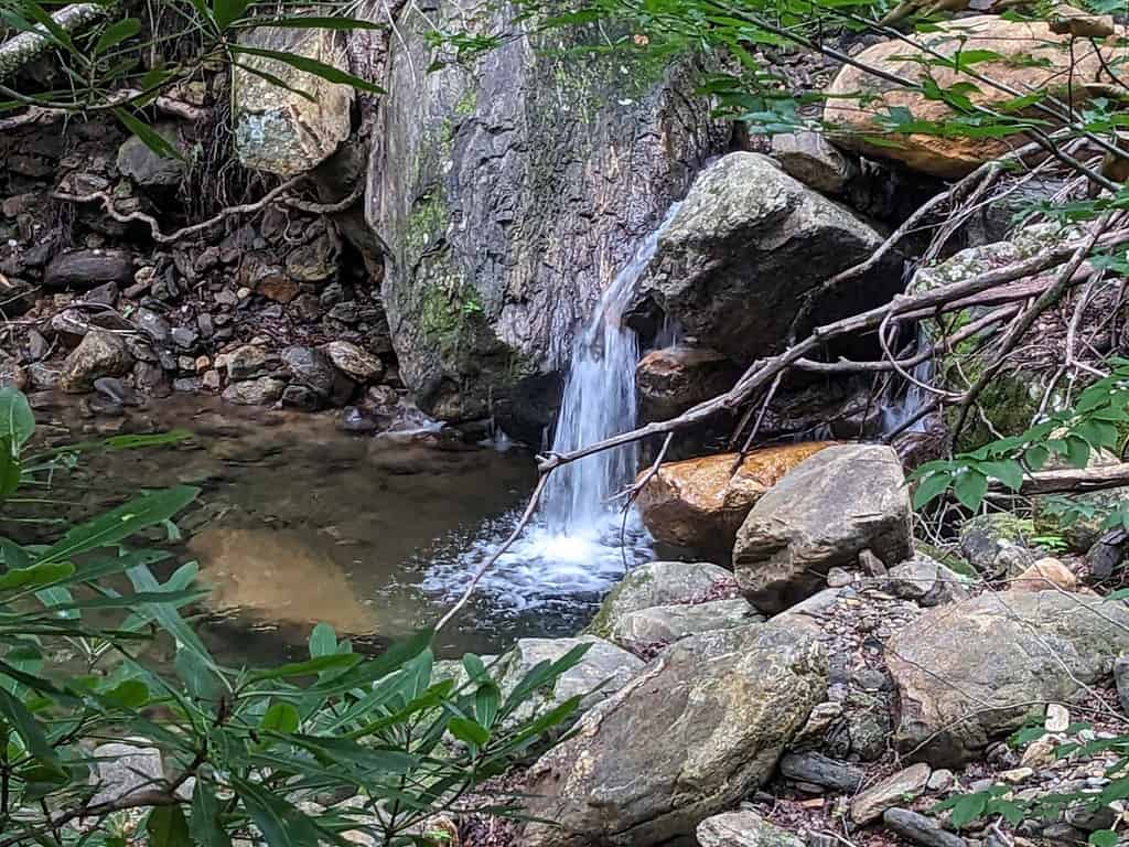 Brevard North Carolina Dupont State Recreation Area