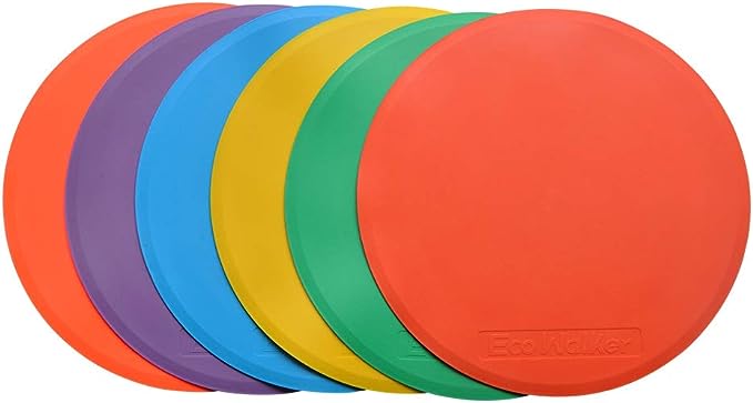 pickleball training aid - discs